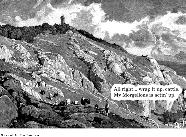 Married To The Sea comic: wrap it up cattle * Text: all right wrap it up cattle my morgellons is acting up