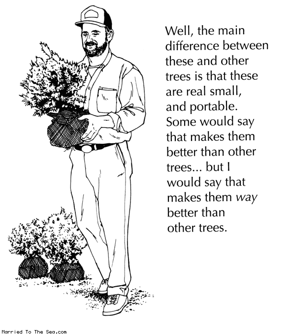 Married To The Sea comic: other trees * Text:
Well, the main difference between these and other trees is that these are real small, and portable. Some would say that makes them better than other trees...but I would say that makes them way better than other trees.