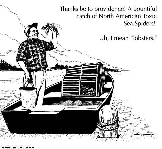 Married To The Sea comic: toxic sea spiders * Text: thanks be to providence! a bountiful catch of north american toxic sea spiders! uh, I mean lobsters.