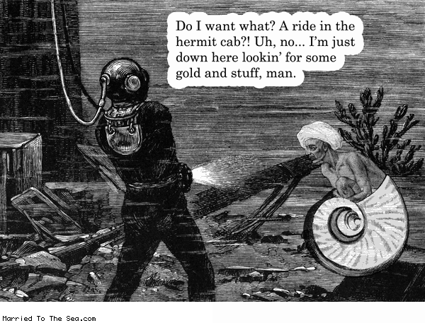 Married To The Sea comic: hermit cab * Text: do I want what? a ride in the hermit cab? uh, no... I'm just here lookin' for some gold and stuff, man.