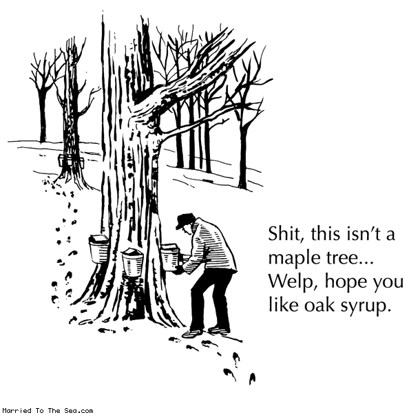 Married To The Sea comic: isnt a maple tree * Text: shit this isnt a maple tree welp hope you like oak syrup