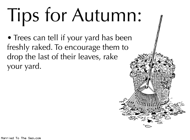 Married To The Sea comic: tips for autumn raking * Text: tips for autumn trees can tell if your yard has been freshly raked to encourage them to drop the last of their leaves rake your yard