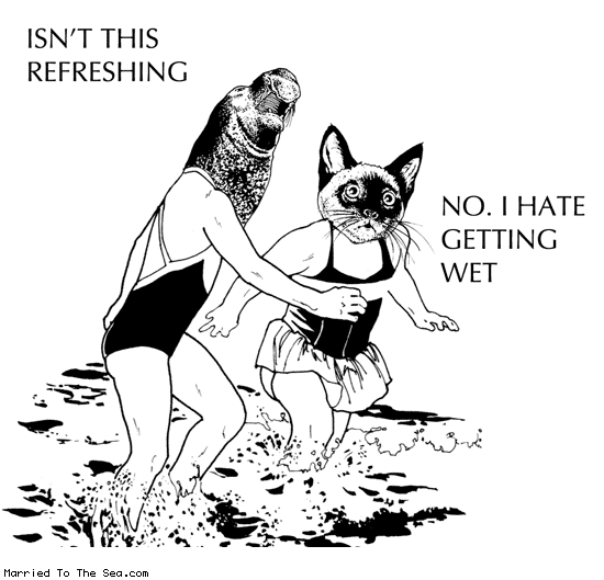 Married To The Sea comic: isnt this refreshing * Text: isnt this refreshing no i hate getting wet