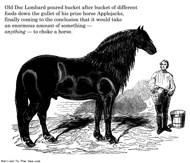 Married To The Sea comic: bucket after bucket * Text: old doc lombard poured buckets after bucket of different foods down the gullet of his prize horse applejacks finally coming to the conclusion that it would take an enormous amount of something anything to choke a horse