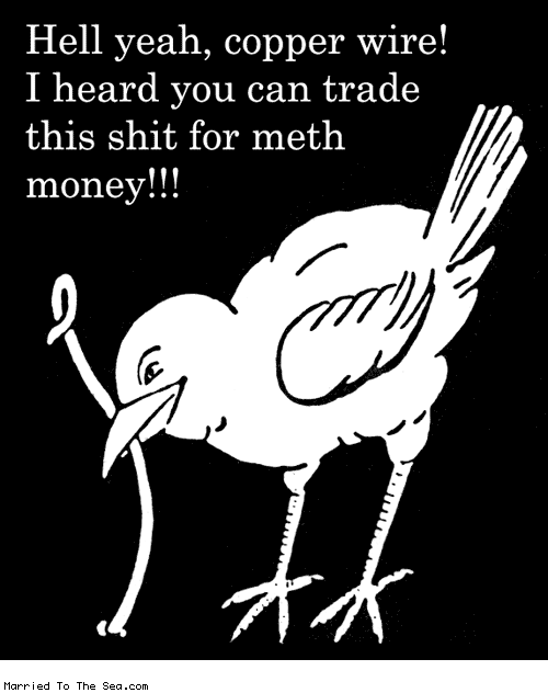 Married To The Sea comic: hell yeah copper wire * Text: