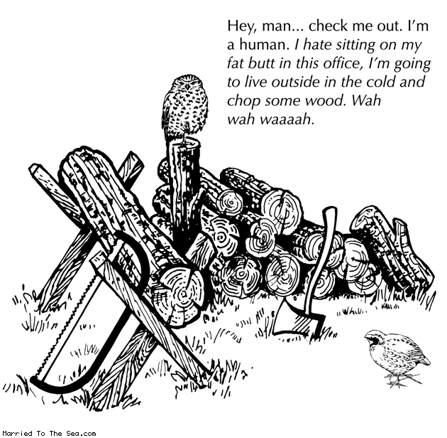 Married To The Sea comic: check me out im a human * Text: hey man check me out im a human i hate sitting on my fat butt in this office im going to live outside in the cold and chop some wood wah wah waaaah