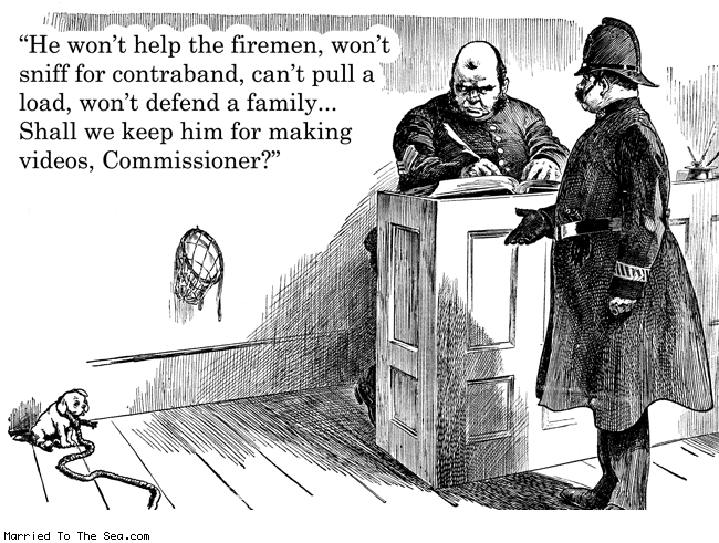 Married To The Sea comic: useless pug dog * Text: he wont help the firemen wont sniff for contraband cant pull a load wont defend a family shall we keep him for making videos commissioner