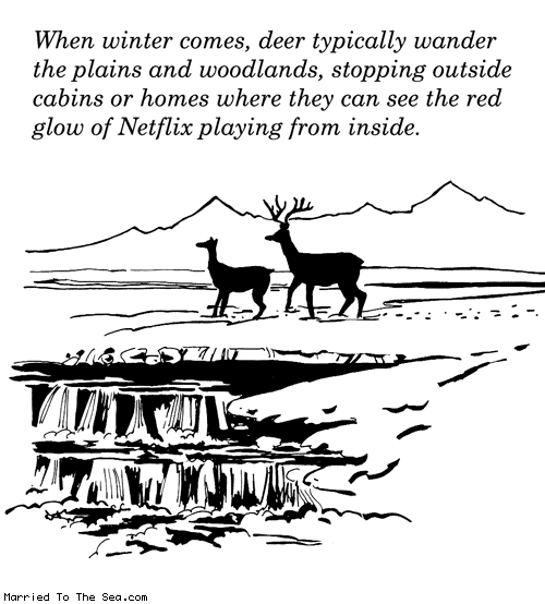 Married To The Sea comic: deer winter * Text: